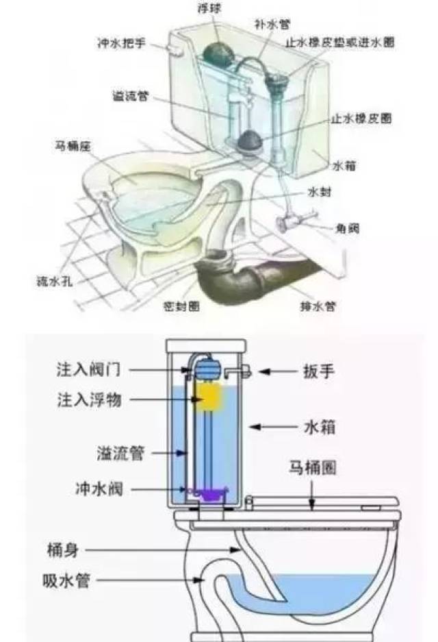 革新卫生体验，最新马桶功能亮相！