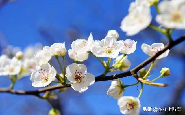 振东最新小说，奇幻未知世界探险之旅