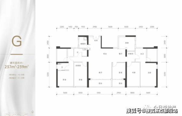 临海最新楼盘，城市新地标，生活新篇章探索